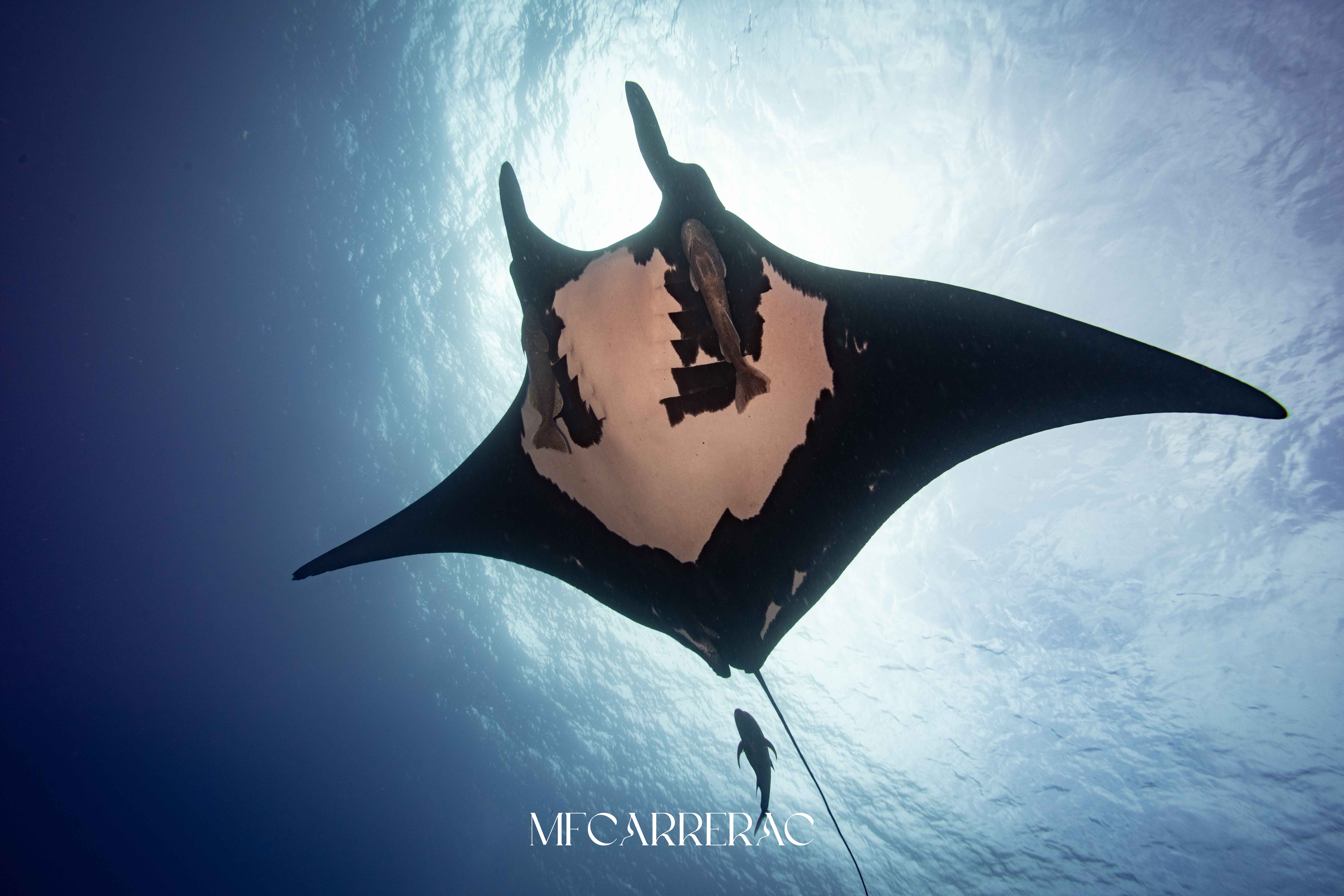 Galería