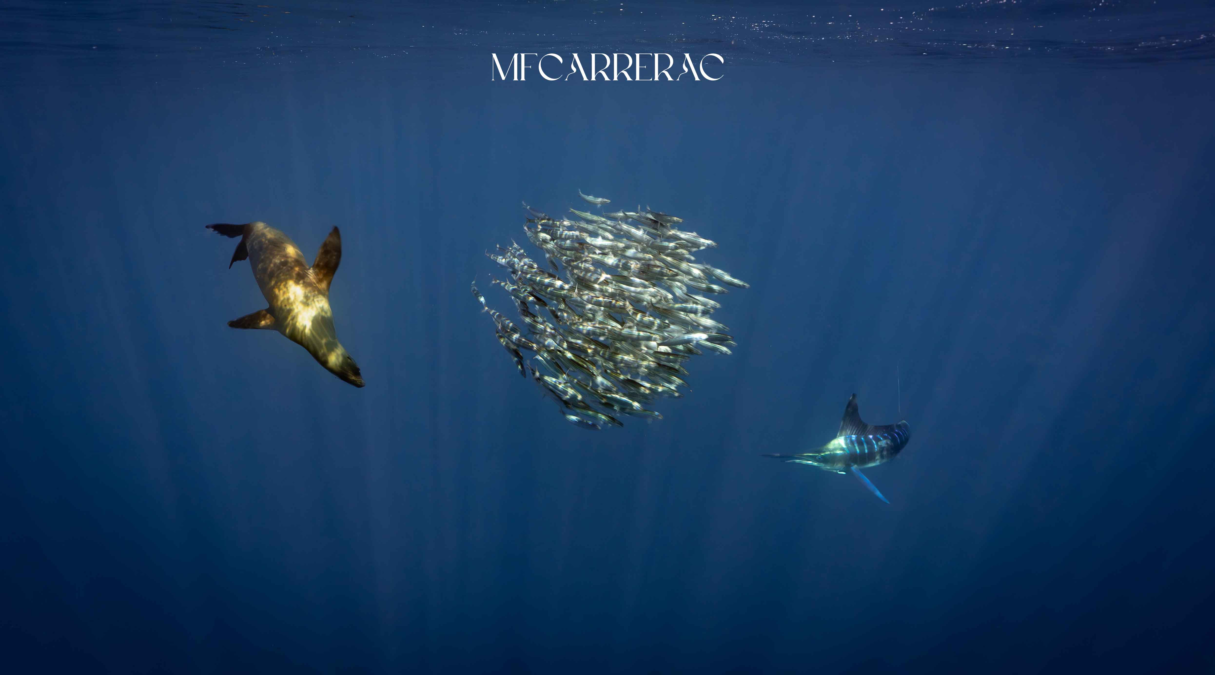 Galería
